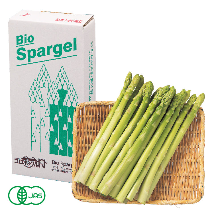 有機栽培夏採りアスパラ(2L~L/500g)
