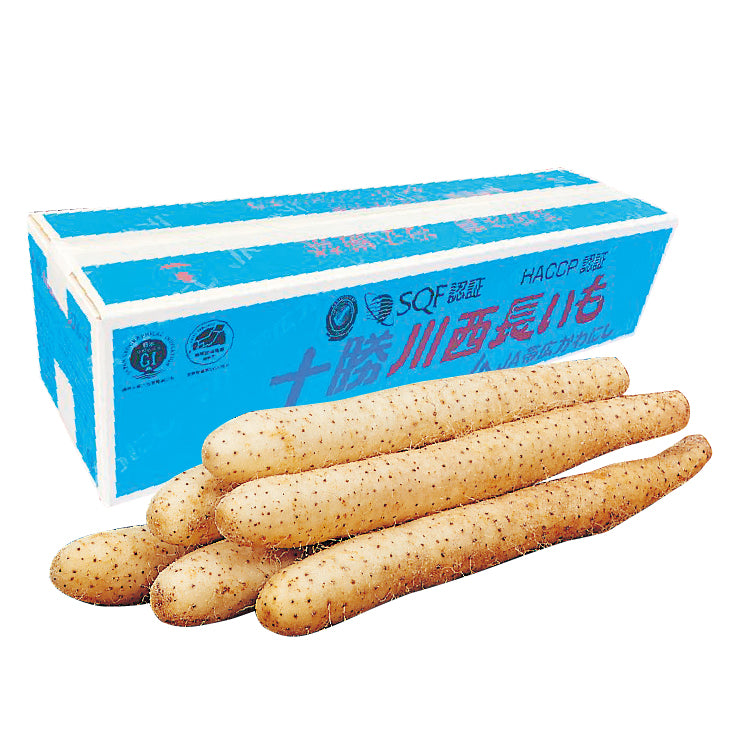川西長いも(洗い)5kg