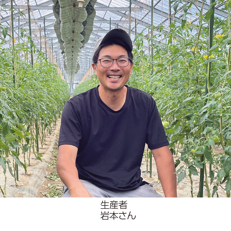 岩本さんの高糖度大玉トマト