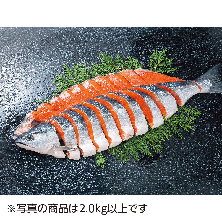 熟成紅鮭姿切身(6分割)1.6kg
