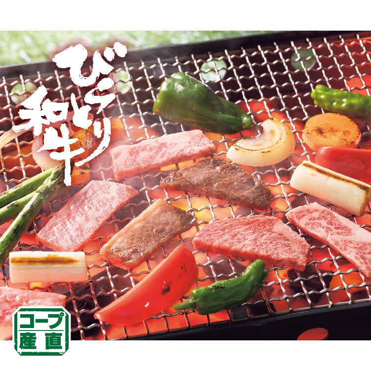 びらとり和牛ロース・バラ焼肉セット