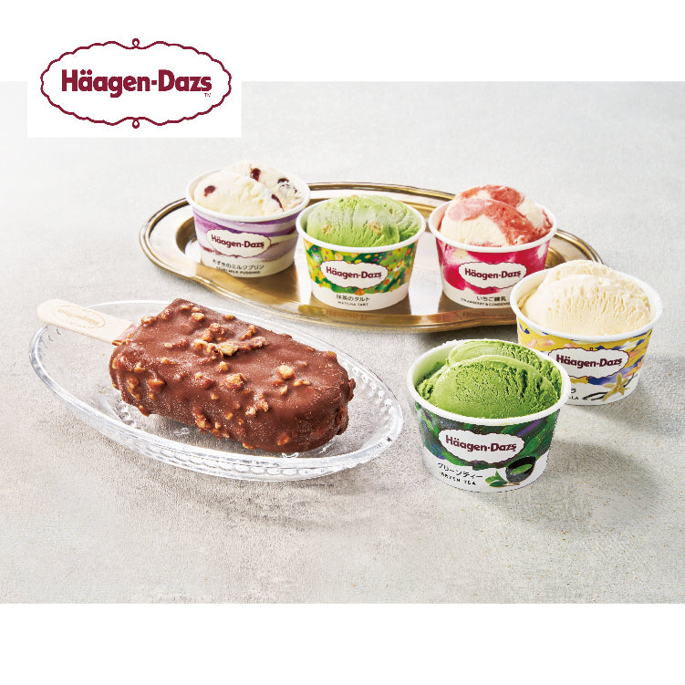 ハーゲンダッツ アイスクリーム11個セット