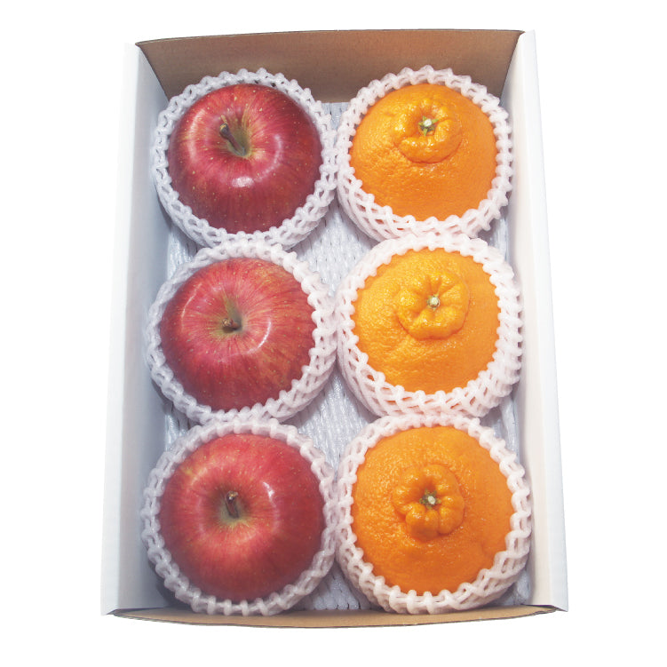 サンふじ＆デコポン詰合せ