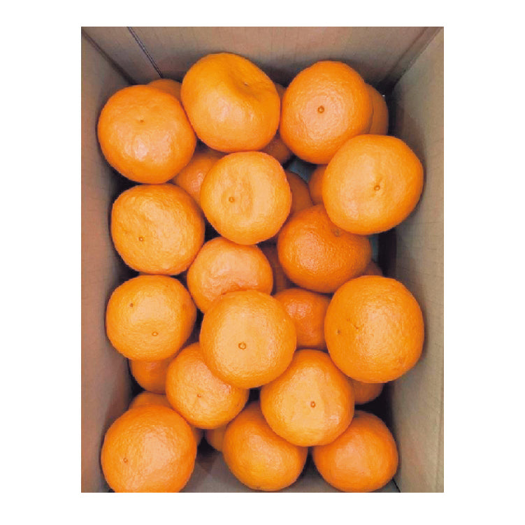 カラマンダリン