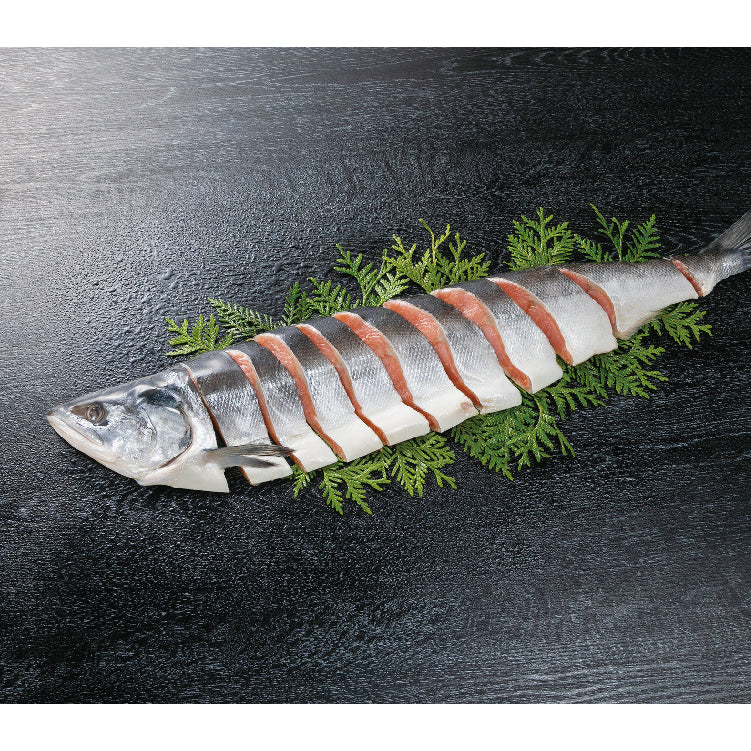 活〆時しらず姿切身半身