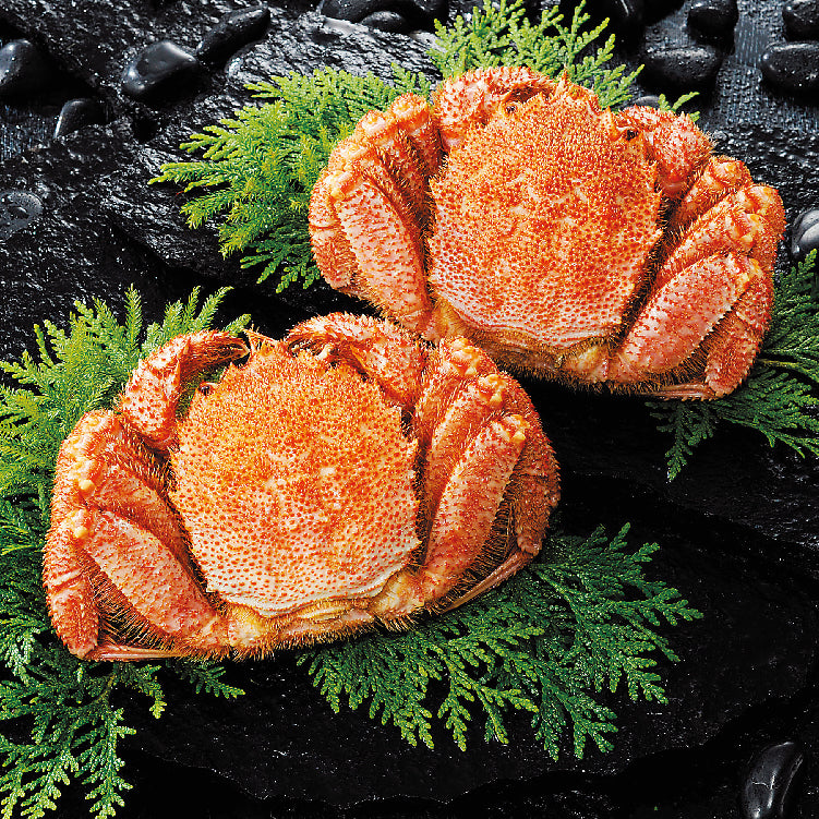 冷凍ボイル毛がにA1尾