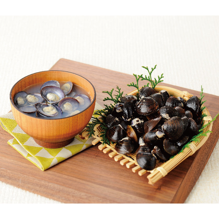 天塩町名産 しじみ貝
