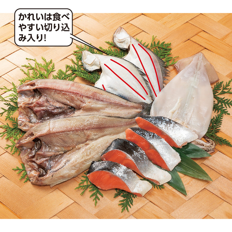 紅鮭切身と氷温乾燥干物セット