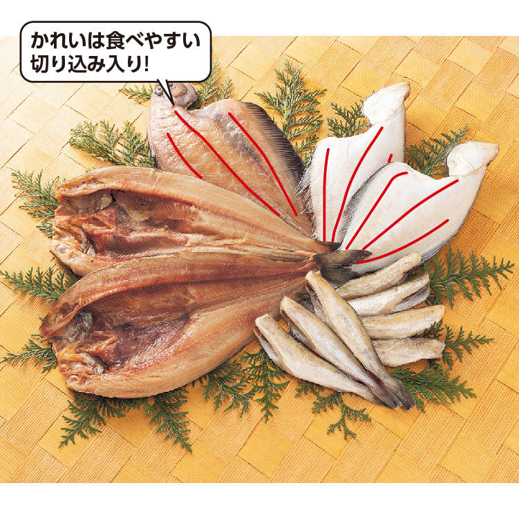 氷温乾燥干物4種セット