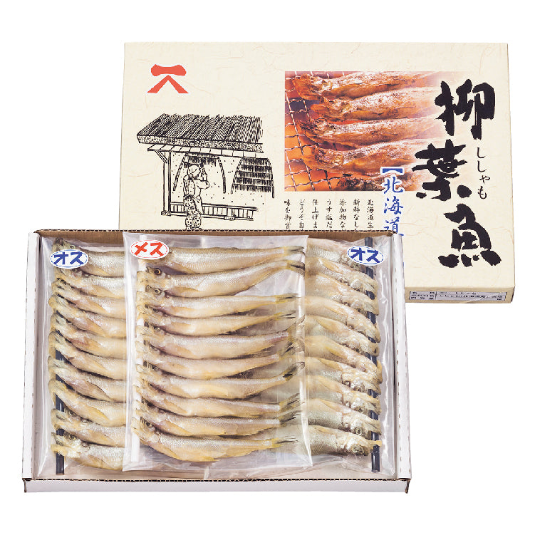 干ししゃもオス・メスセット