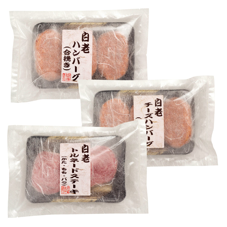 白老ハンバーグセットC