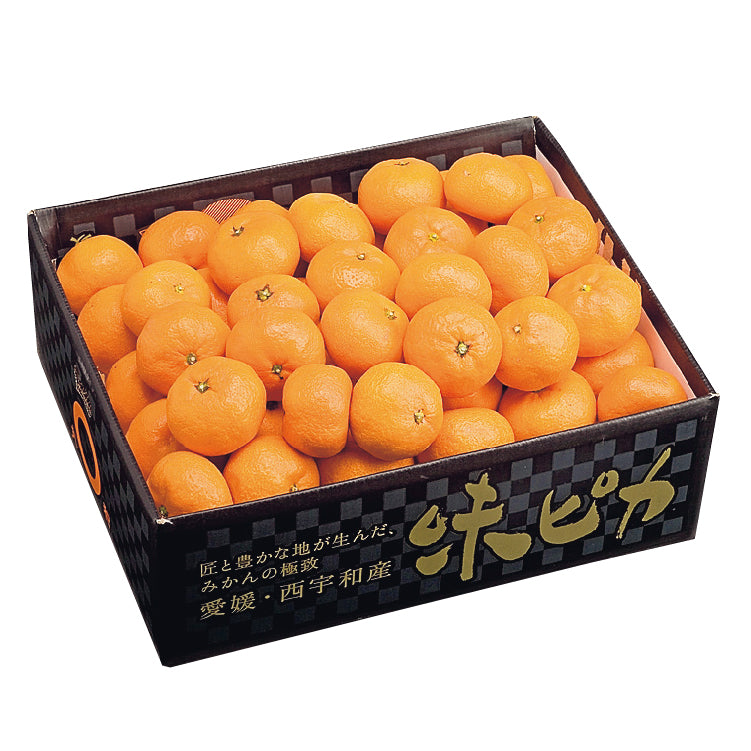 川上みかん(味ピカ)