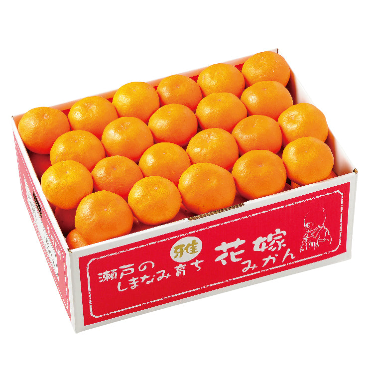 瀬戸の花嫁みかん「雅」