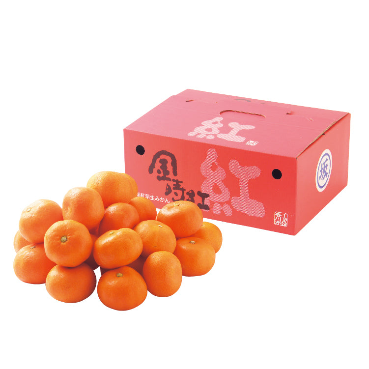 金時紅みかん 2kg