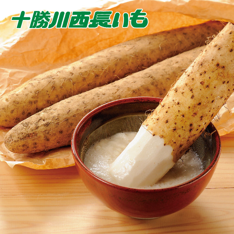 川西長いも(洗い)5kg