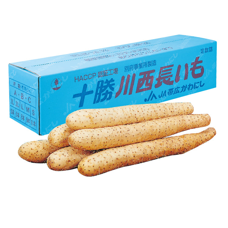川西長いも(洗い)5kg