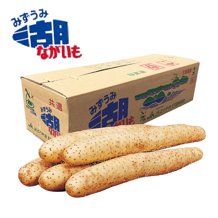 湖ながいも5kg