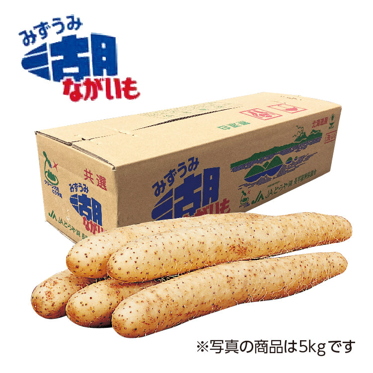 湖ながいも10kg