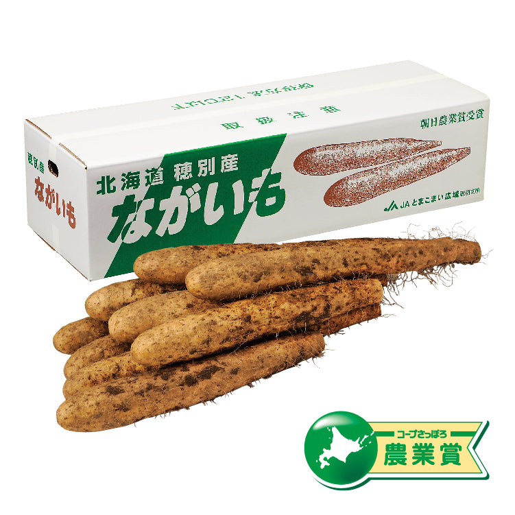 土付ながいも10kg