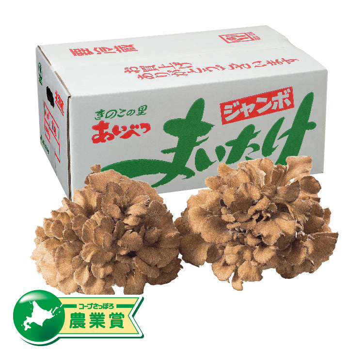 ジャンボ舞茸2株セット