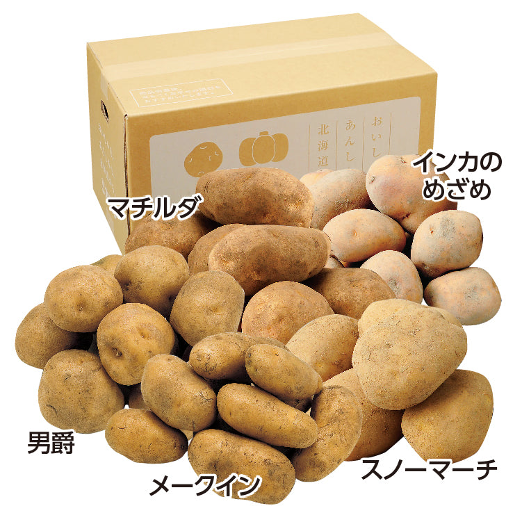 人気じゃがいも5種セット