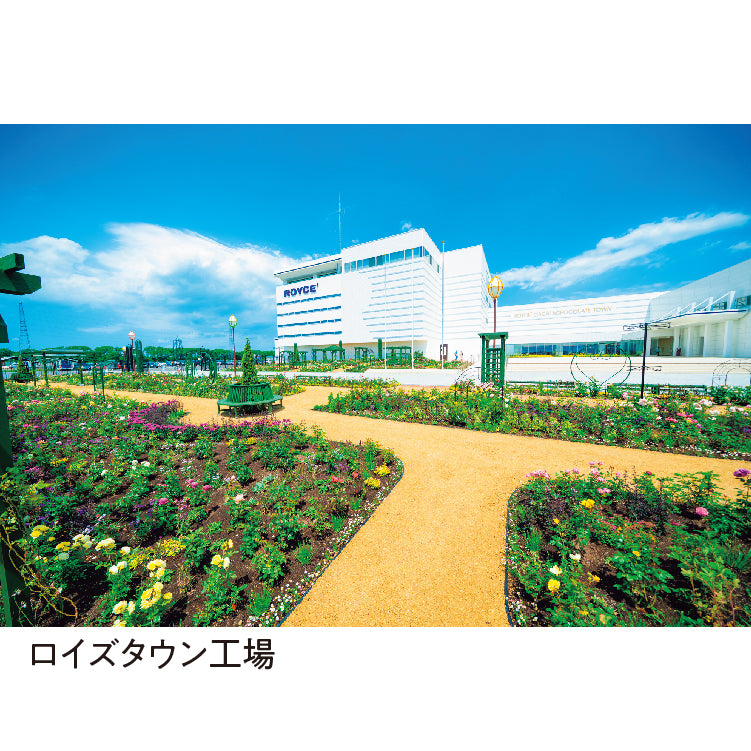
                  
                    ロイズコレクション[ブルー]
                  
                