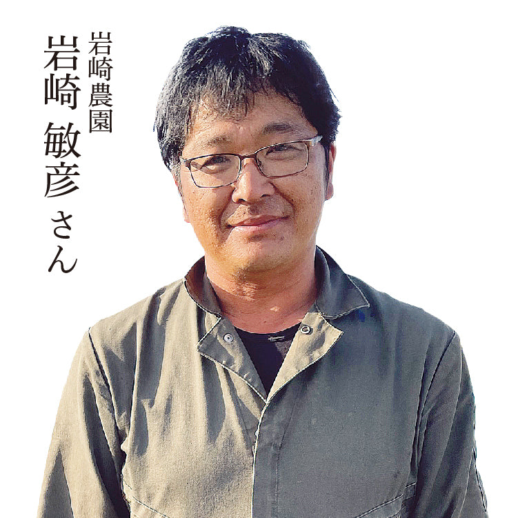 旭川産３銘柄食べ比べ
