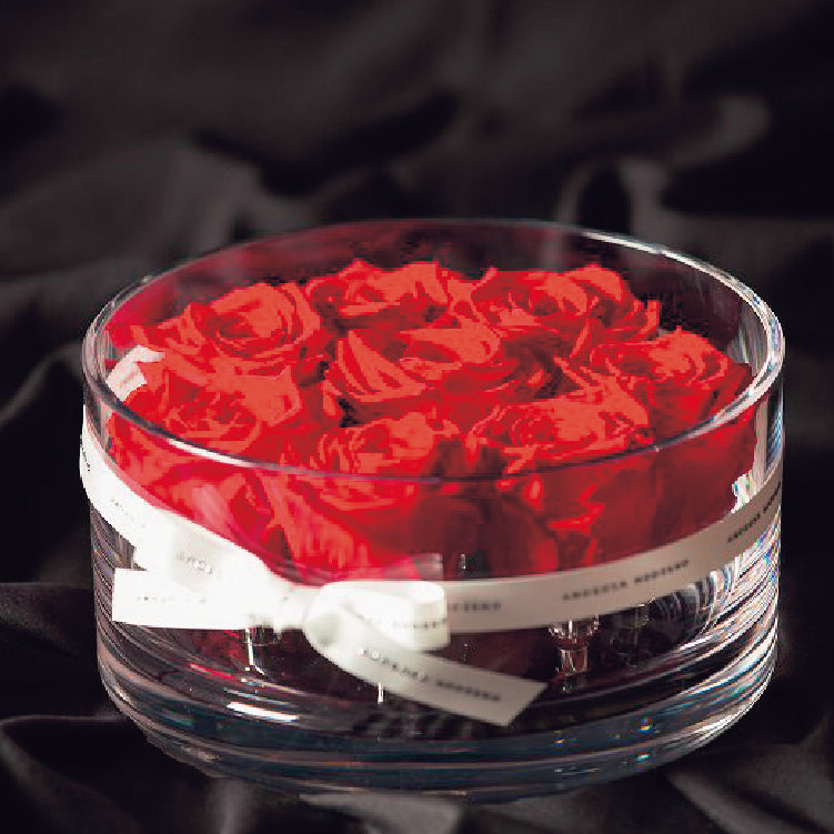 AMOROSA BRILLIANT（ブリリアント）