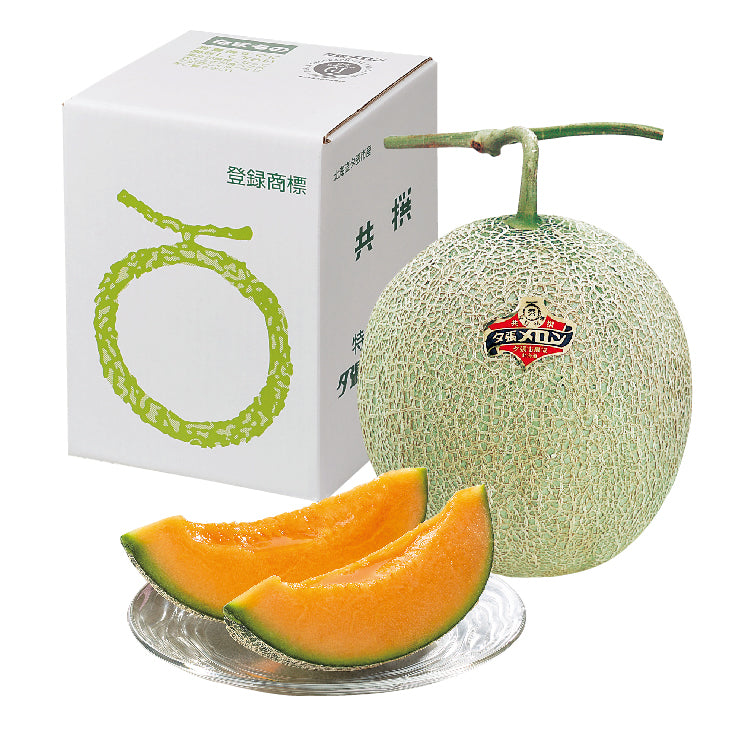 夕張メロン秀品1玉