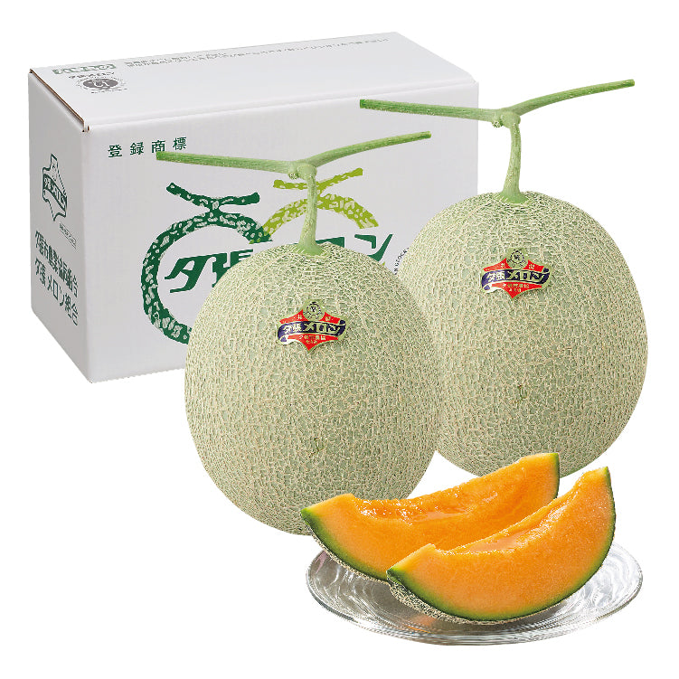 夕張メロン優品2玉