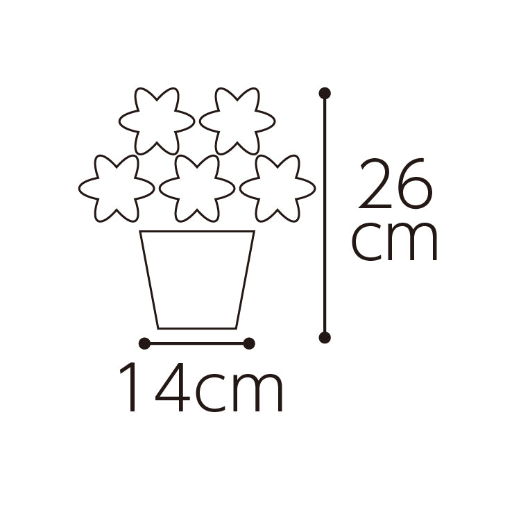 父の日ブーケとカステラ