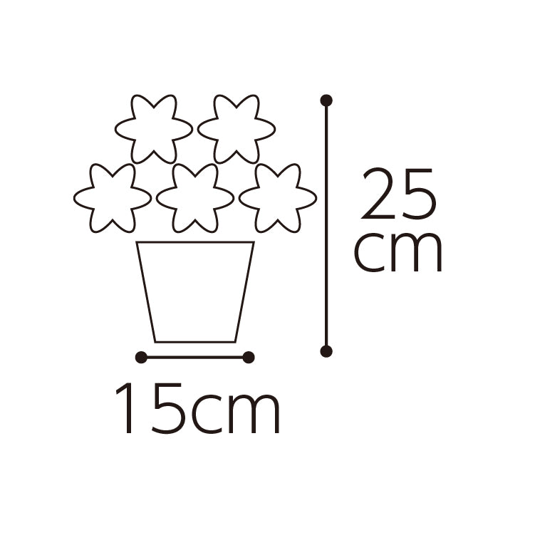 ワイルドスタージャスミン