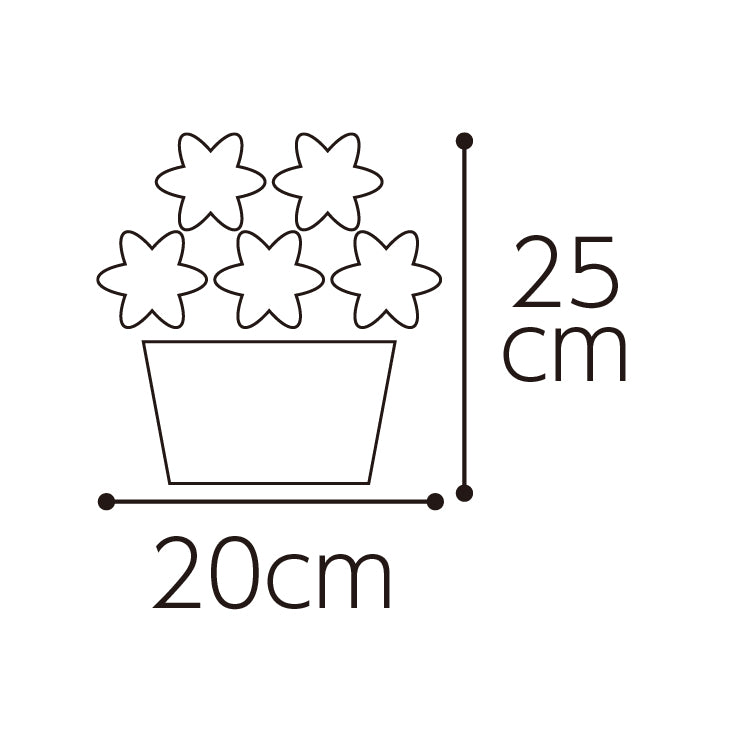 ダリア「ロザンナ」