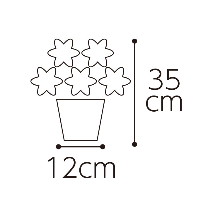 ブーゲンビリア「オレンジ」