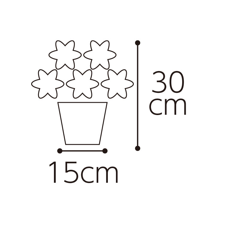 ミディ胡蝶蘭「イエロー」