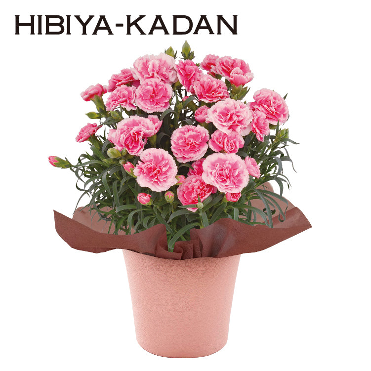 ティーパーティー