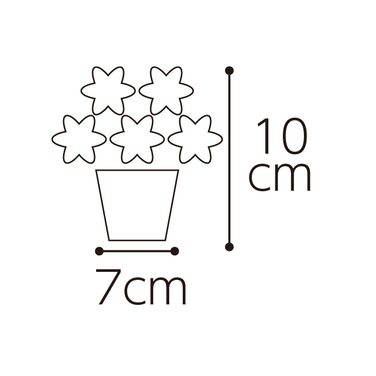 ミニプリザと井桁堂「ガトープルポ」