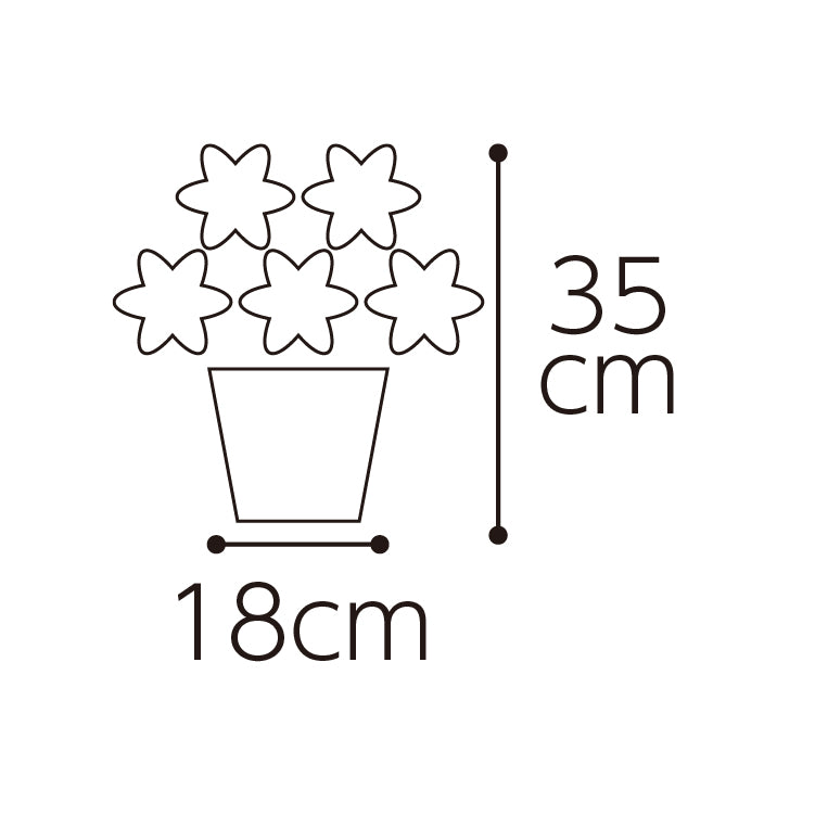 カーネーション「ノウル」と長崎堂「どら焼き」