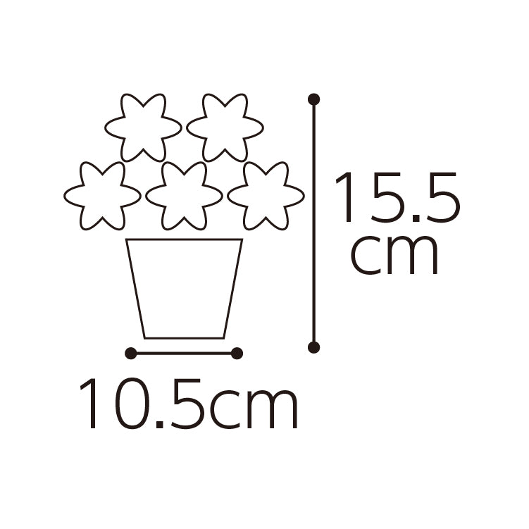 フレグランスフラワーレッド