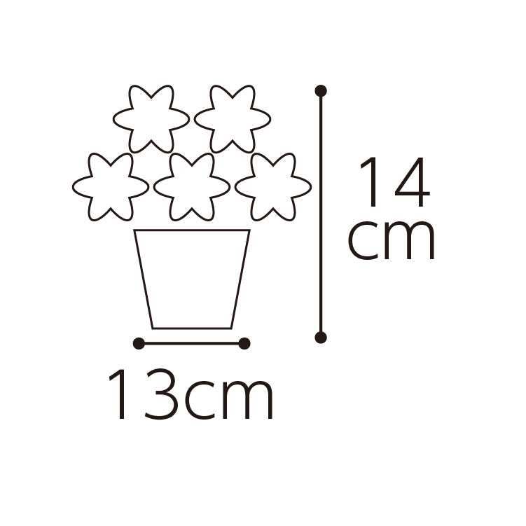 ティーカッププードル