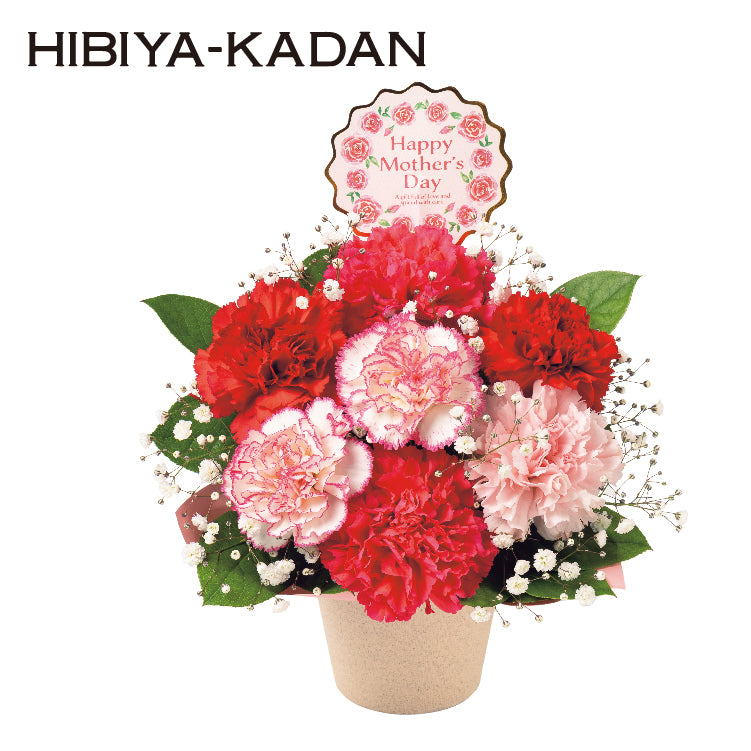 スイートアレンジ