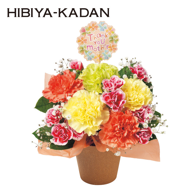 キュートアレンジ