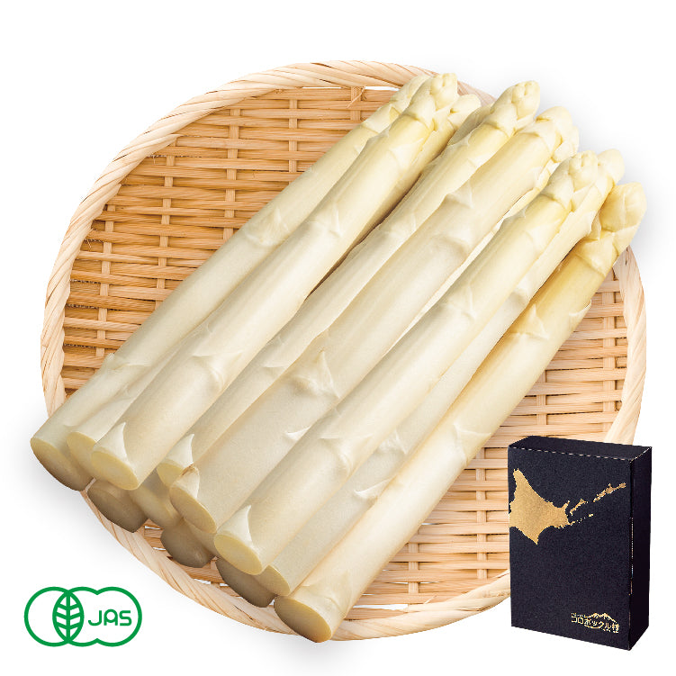 有機栽培ハウス極太ホワイト（4L以上）