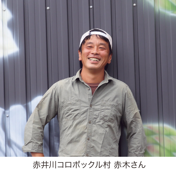 有機栽培ハウス極太ホワイト（4L以上）