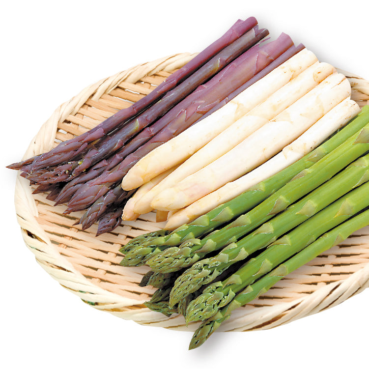 ハウス3色セット（900g）