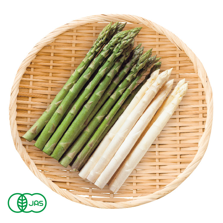 有機2色セット（2L〜M／800g）