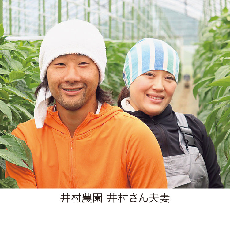 有機2色セット（2L〜M／800g）