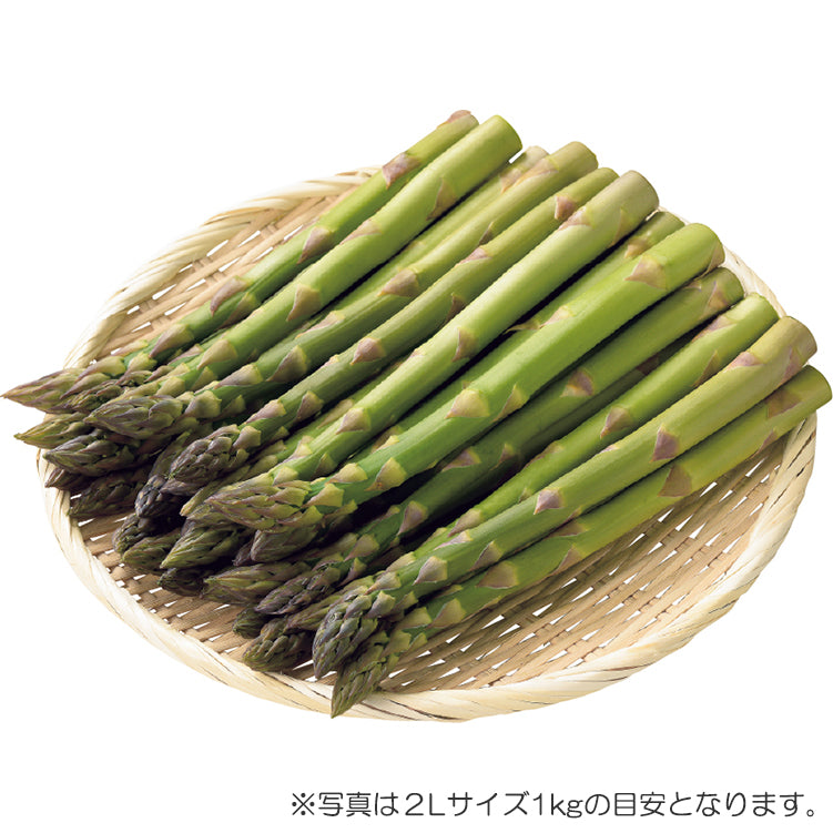 北はるかグリーン（2L／1kg）