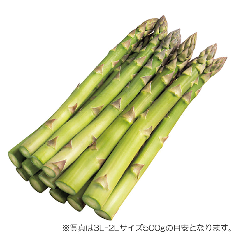 有機栽培ハウスグリーン（3L〜2L／500g）