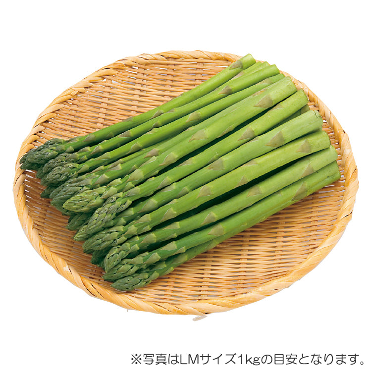 グリーンアスパラ（LM／1.6kg）